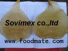 dried oval fish maw