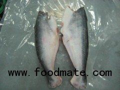 PANGASIUS HGT