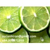 FROZEN LIMES