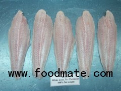 Pangasius Fillet Untreated