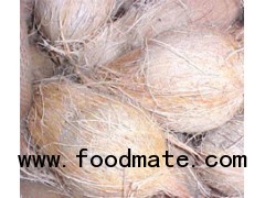 Coconuts