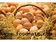 fresh eggs