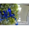 Sugraone Seedless Grapes