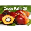 CRUDE PALM OIL