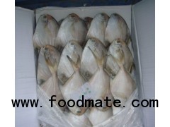 silver pomfret