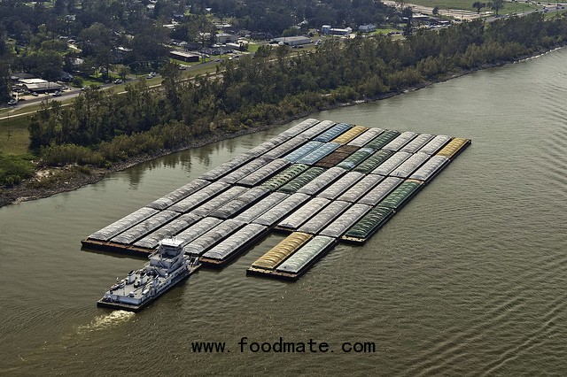 Barge and ship traffic transporting export cargo on the Mississippi River