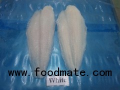 FROZEN PANGASIUS