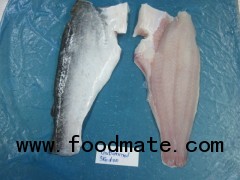 FROZEN PANGASIUS