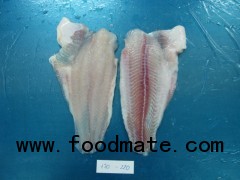 pangasius fish