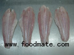 pangasius fish