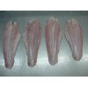 pangasius fish