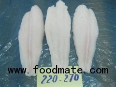 pangasius fish
