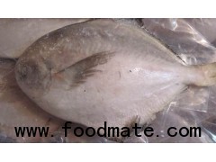 Pomfret