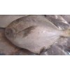 Pomfret