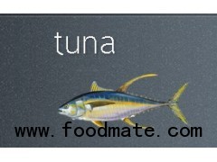 tuna,YELLOWFIN,Yellow-fin or Pacific long-tailed tuna