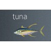 tuna,YELLOWFIN,Yellow-fin or Pacific long-tailed tuna