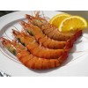 shrimp from vietnam