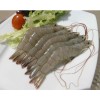 shrimp from vietnam