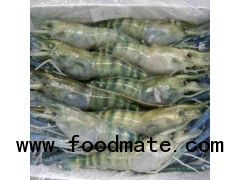 HOSO Scampi Prawn – I.Q.F