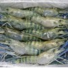 HOSO Scampi Prawn – I.Q.F