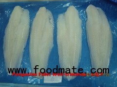 Frozen Pangasius Fillet, Well-trimmed