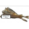 Norwegian Stockfish