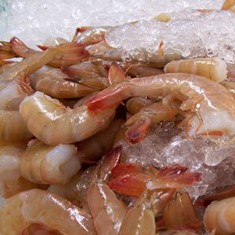 brown shrimp 
