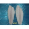 PANGASIUS WELL- TRIMMED