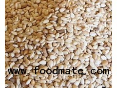 Sesame Seeds