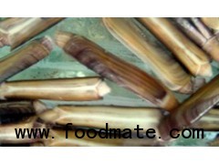 Razor clam