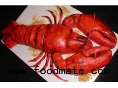 Buy Lobster ( Over 1 kg / 1 Piece )