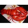 Buy Lobster ( Over 1 kg / 1 Piece )