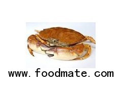 Buy Crab