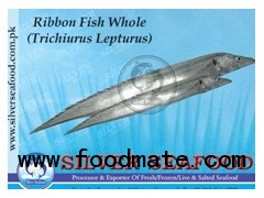 Ribbon fish (Trichiurus Lepturus)
