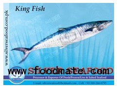 Seer fish(King fish) (Streaked spanish mackerel)