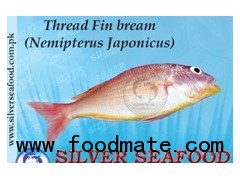 ThreadFin Bream (Nemipterus Japonicus)