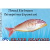 ThreadFin Bream (Nemipterus Japonicus)