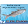 Indian Salmon (Palynemus Tetradactylum)