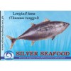 Longtail Tuna (Thunnus tonggol)