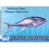 Yellow fin Tuna (Thunnus Albacares)