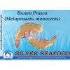 Brown Prawn (Metapenaeus monoceros)