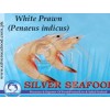 White Prawn (Penaeus Indicus)