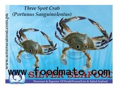 Three Spot Crab (Portunus Sanguinolentus)