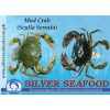 Mud Crab (Scylla Serrata)