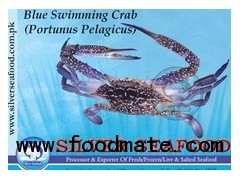 Blue Swimming Crab (Portunus Pelagicus)