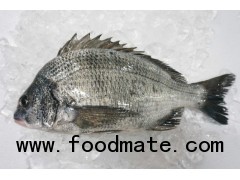 Frozen Black Sea bream