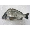 Frozen Black Sea bream