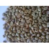 Highland washed Arabica green coffee beans, Grade 2, Screen 13