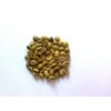 Buon Me Thuot wet polished Robusta green coffee beans, Grade 1, Screen 18