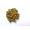 Buon Me Thuot wet polished Robusta green coffee beans, Grade 1, Screen 16